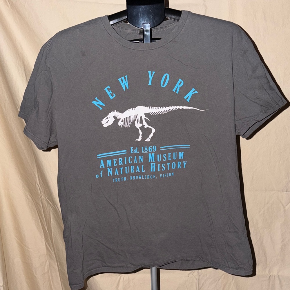 Anvil Gray T-Shirt with Blue Print